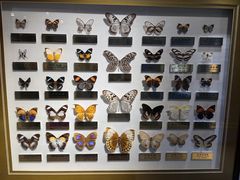 -上海昆虫博物馆