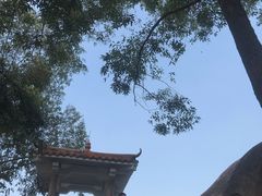 -火炉山森林公园