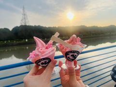 -高东镇樱花园
