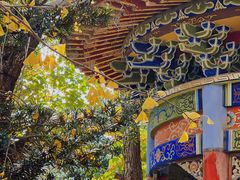 -华雅花园大酒店