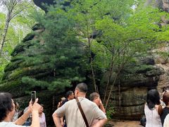 -汤旺河林海奇石景区