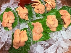 -月龍吟(朝龙汇店)