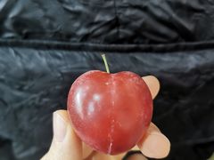 -南京众彩农副产品配送有限公司