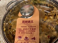 -百利鸽王(紫薇路店)