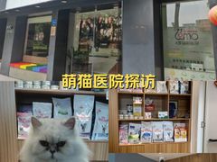 -御宝贝·A梦猫科宠物医院(国际猫友好医院)
