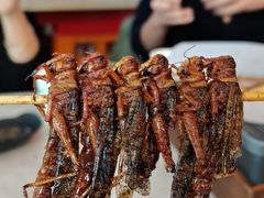 -纪录片《人生一串》体验店(静安店)