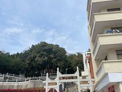 -中山公园(石岐街道)