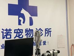 -守诺宠物医院·眼科· 特色牙科·异宠专科(虹口店)