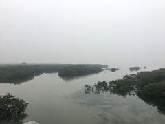 -北海金海湾红树林生态旅游区