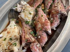 -洞背山庄(洞背院区式管理小区店)