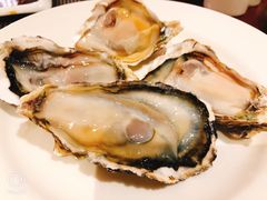 冰岛生蚝-白天鹅宾馆·流浮阁咖啡厅