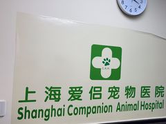 -爱侣宠医·鹦鹉专科·小型哺乳类·异宠专科(灵石路店)