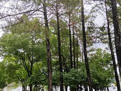 -美兰湖景区