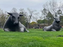 -静安雕塑公园