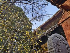 -洛阳白马寺