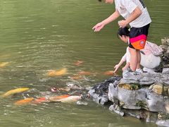 -柳侯公园
