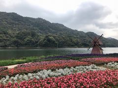 石门花海-广州市石门国家森林公园