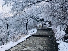 -香山公园