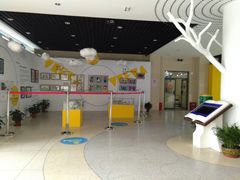 -上海市黄浦区卢湾第一中心小学