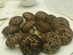-南京悦客假日酒店