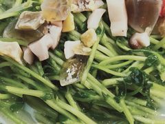 皮蛋浸豆苗-壹厨饭店(五羊店)