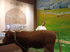 -特克斯八卦城