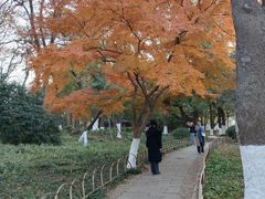 -绿杨春·淮扬宴(庐山路店)