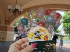 -上海迪士尼度假区