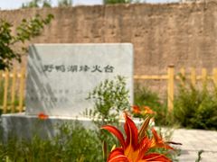 -野鸭湖国家湿地公园