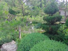 -熙古里艺术村