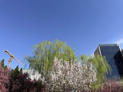 -元大都城垣遗址公园