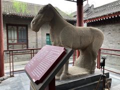-西安碑林博物馆
