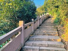 -杭州半山国家森林公园