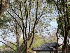 -堤角公园