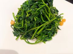 -九福楼大酒店