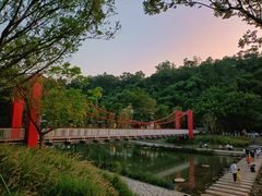 -梧桐山风景名胜区