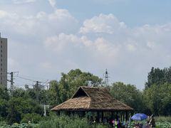 -前关湿地公园