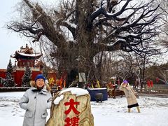 -大槐树寻根祭祖园