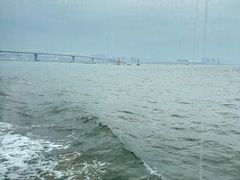 -澳门环岛游湾仔码头