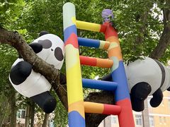 -西安电影制片厂