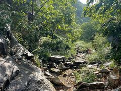-黑龙潭风景区