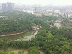 -雀儿山公园