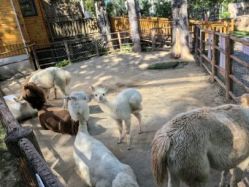 -禧园Joyous Garden ·宴会厅(禧园店)