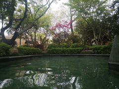 -苏州湾·王焰温泉