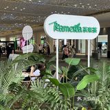什么？！这家新开了奶茶店你居然不知道？！