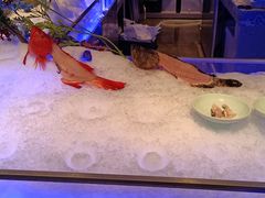 -一方渔歌蒸汽海鲜自助(文化路万达广场店)