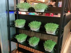 -盡膳口福跷脚牛肉火锅(北美新天地店)