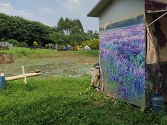 -紫颐香薰山谷景区