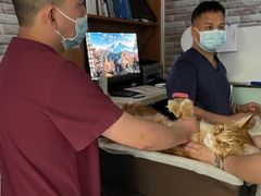 -纳吉亚猫专科动物医院博雅分院