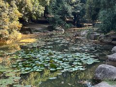 -杭州植物园